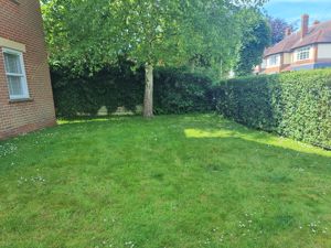 Communal garden- click for photo gallery